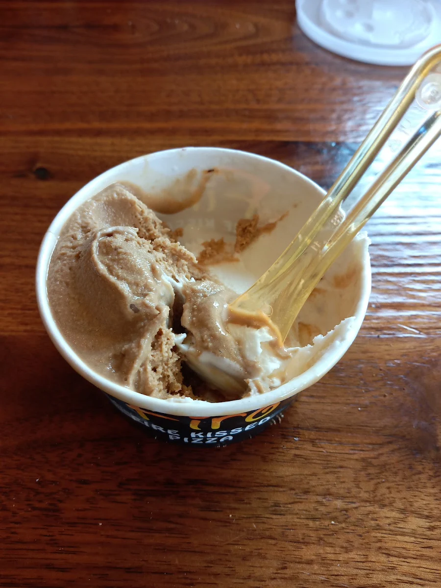 Gelato - Turtle