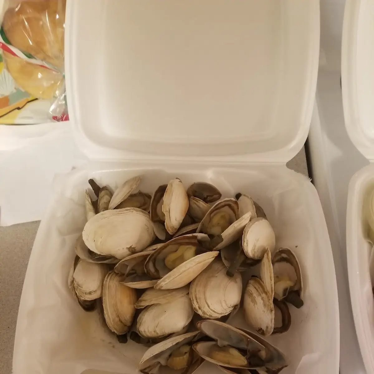 Steamed Clams