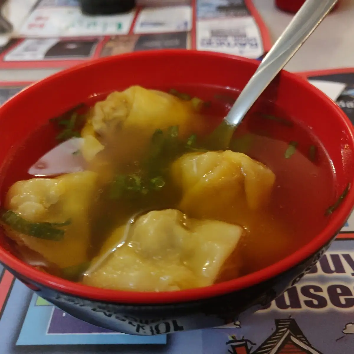 Dumpling Soup