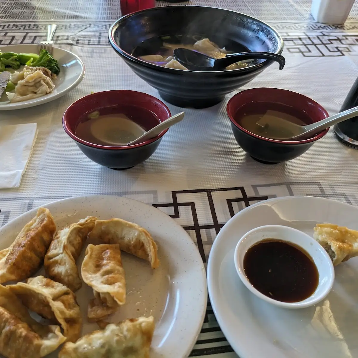 Fried Pot Stickers
