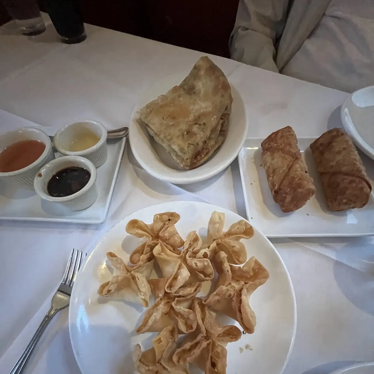 Crab Rangoons and Spring Rolls
