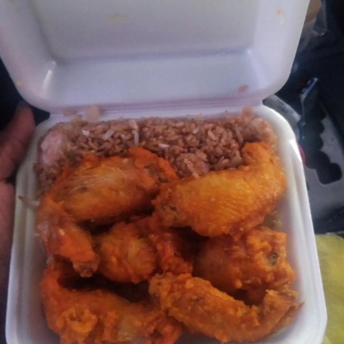 Chicken Wings and Fried Rice