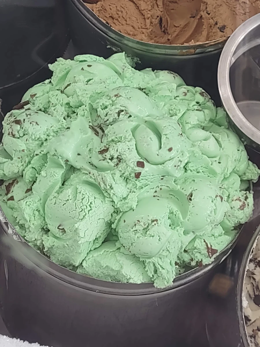 Mint Chocolate Chip