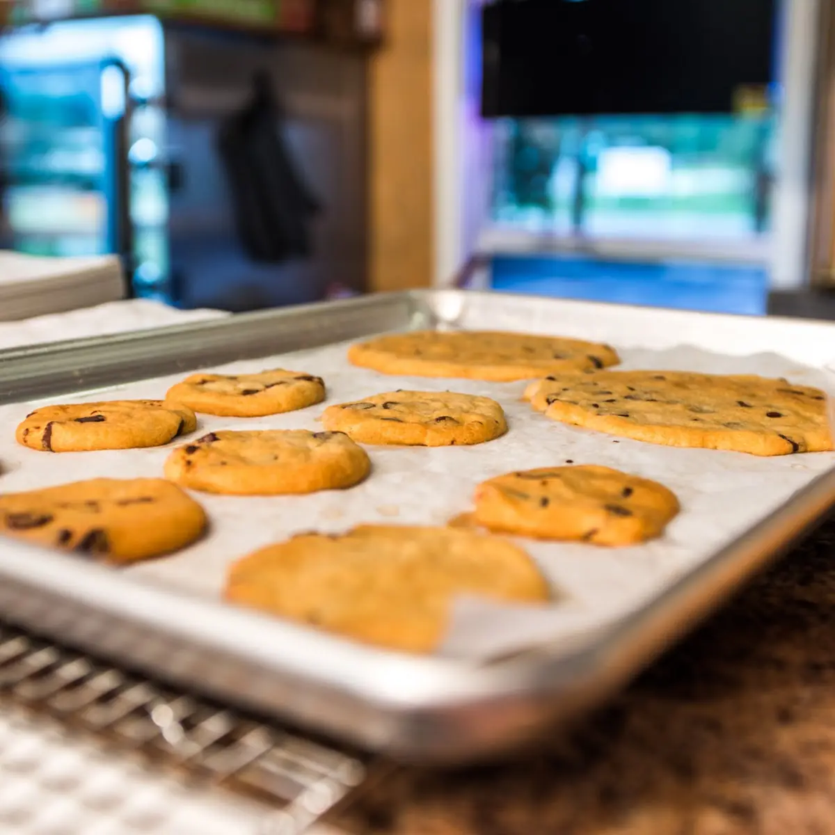 Giant Chocolate Chip Cookie