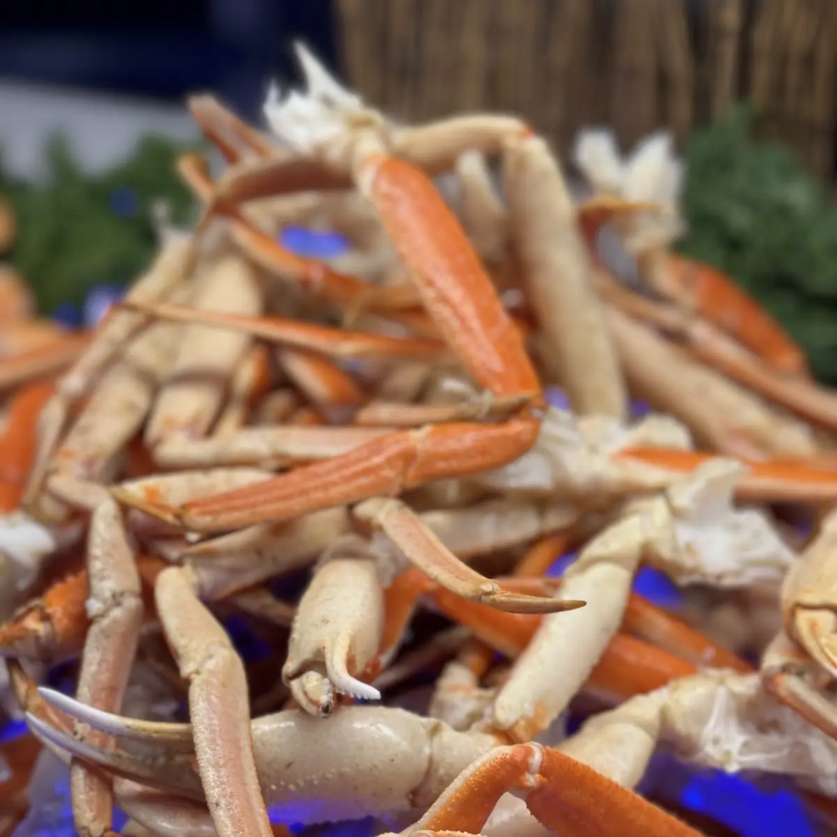 Snow Crab Leg 1lb