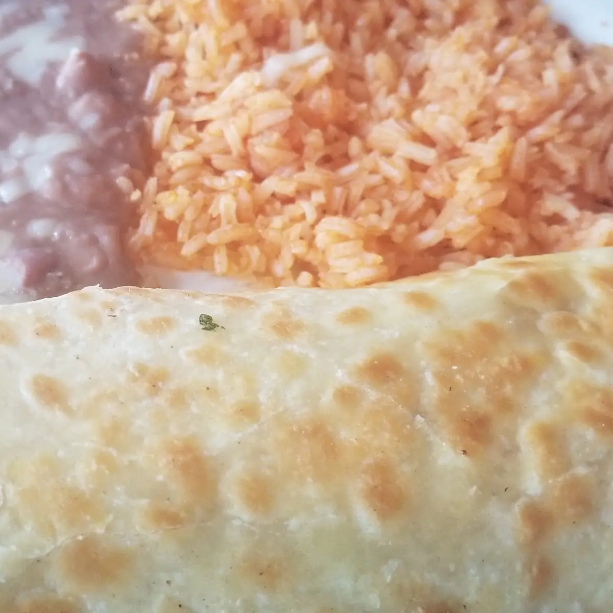 Chicken Quesadilla
