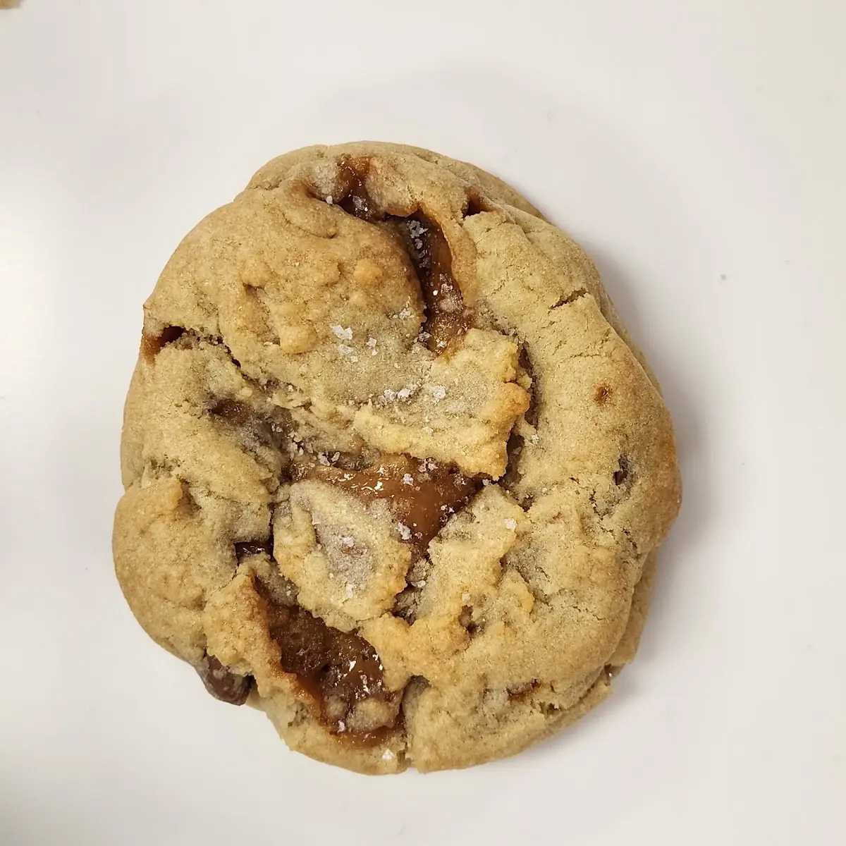 Milk Chocolate Chip