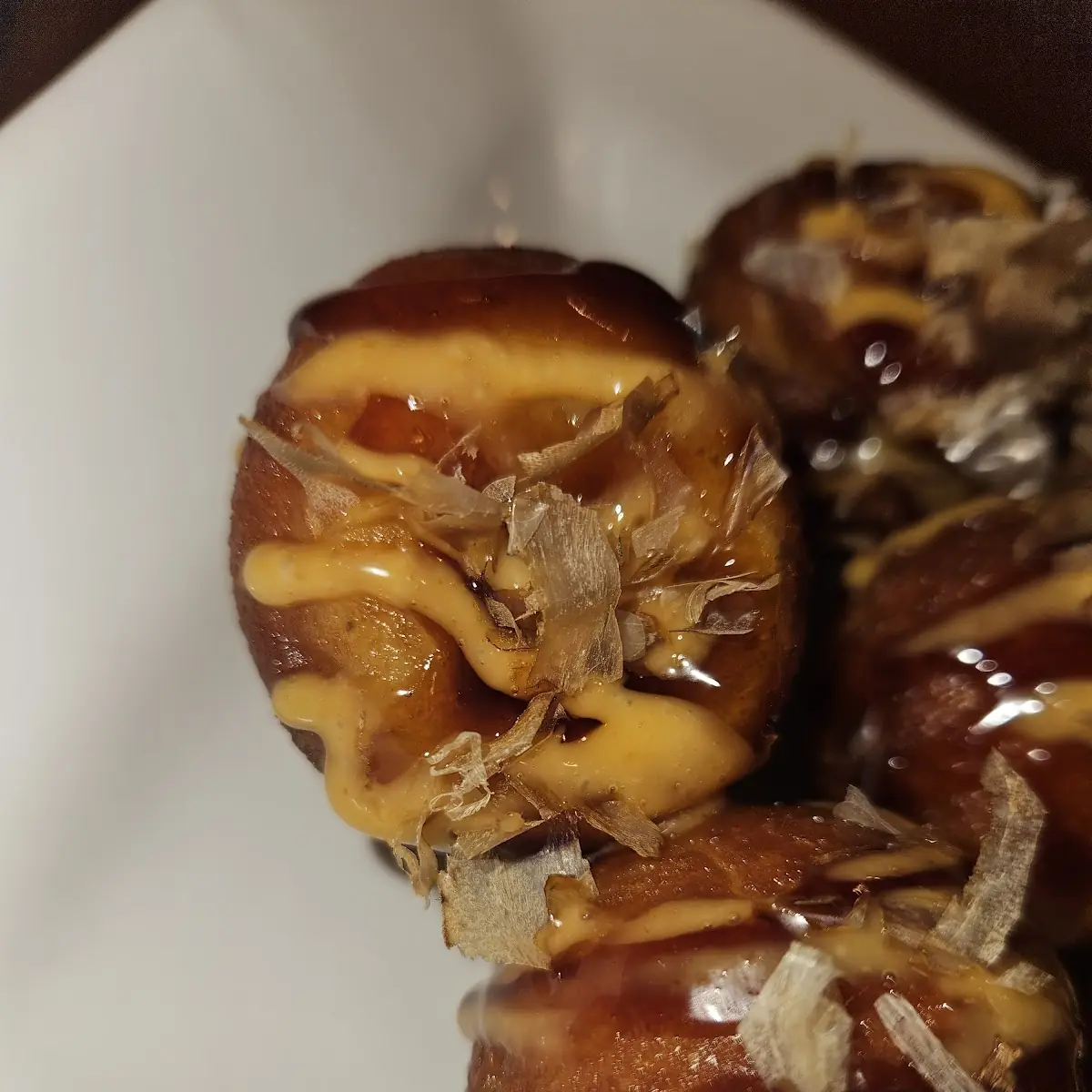 Octopus Tako