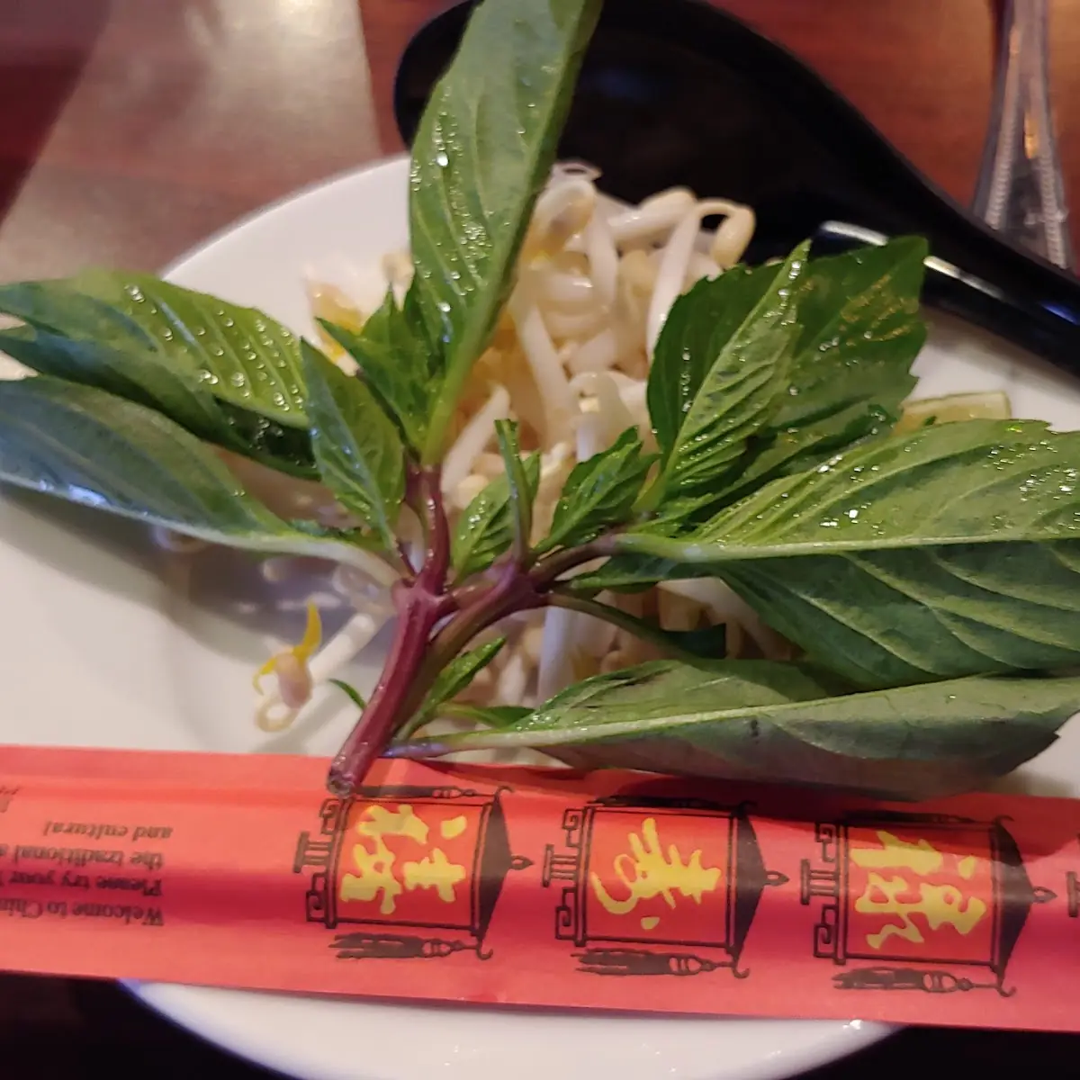 Bean Sprouts and Fresh Mint
