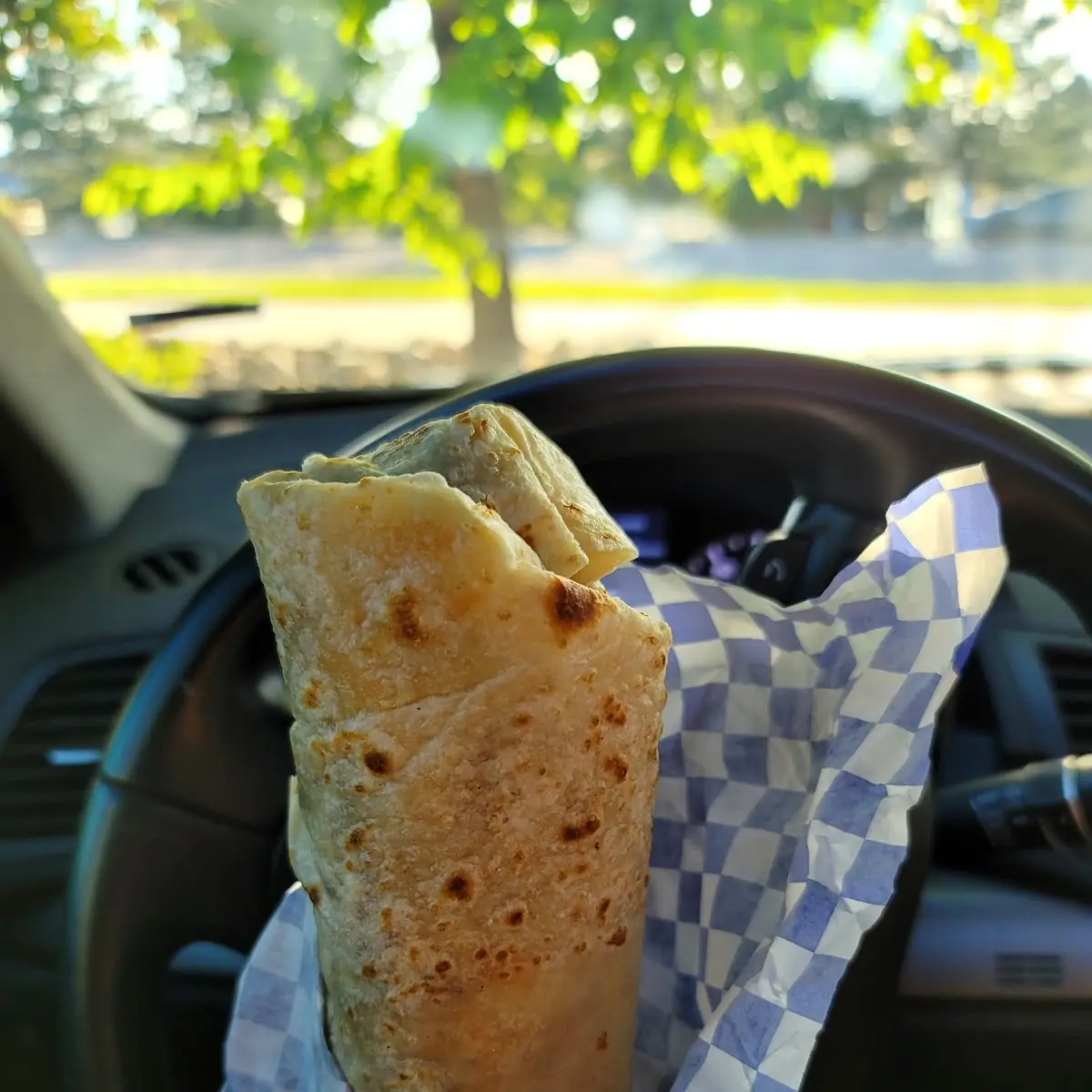Colorado Burrito with Sour Cream