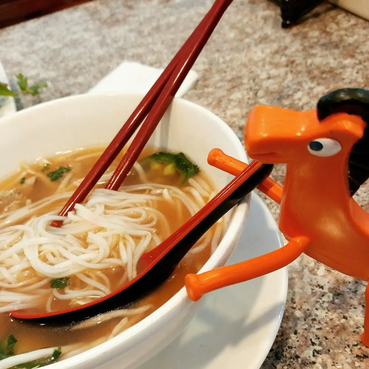 Beef Pho 11