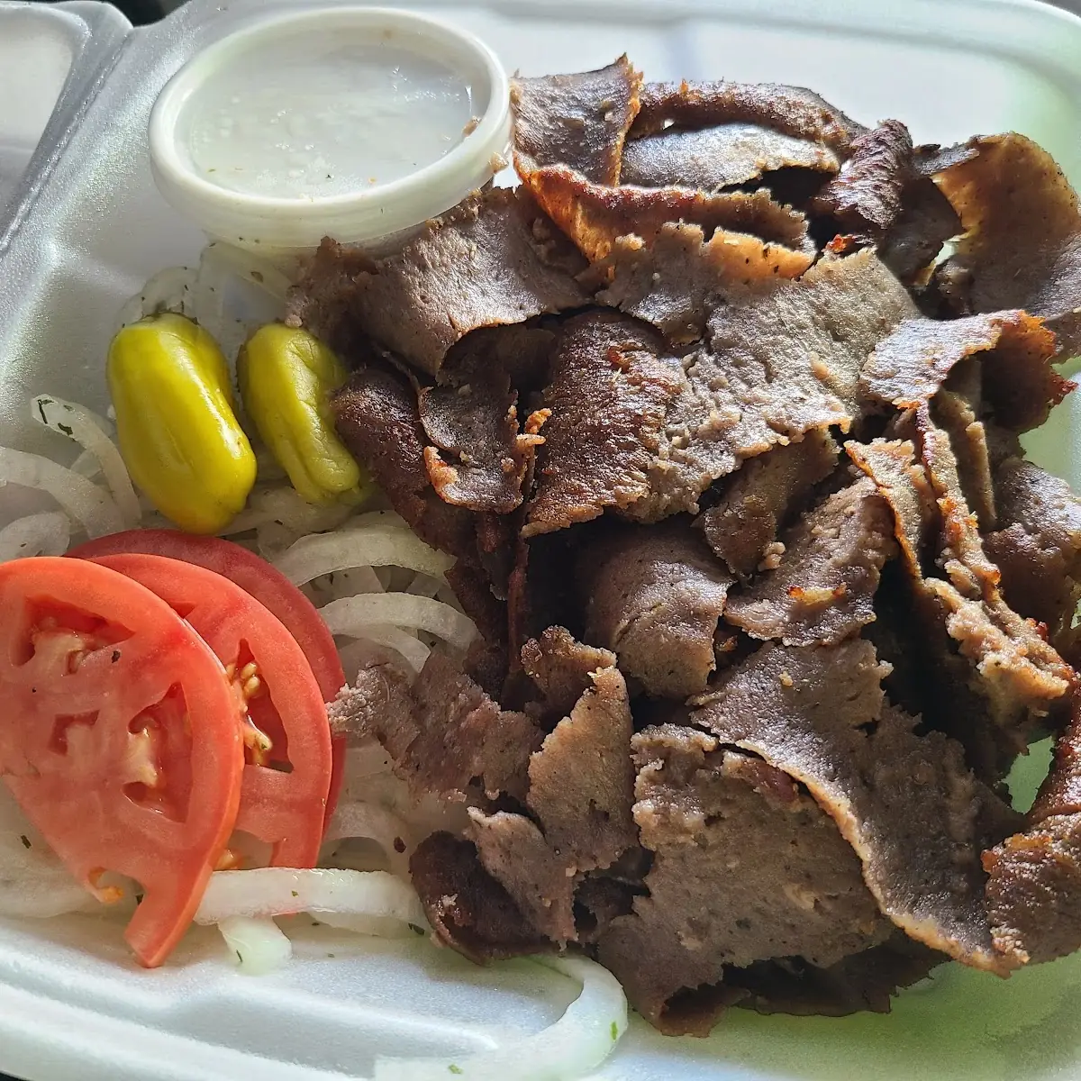 Gyro Plate
