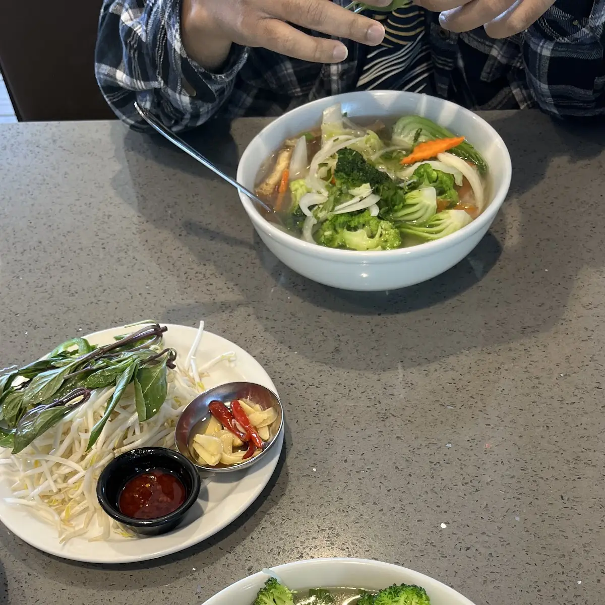 Vegetable & Tofu Pho Chay