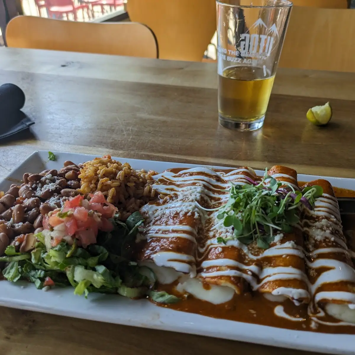 Cheese Enchiladas