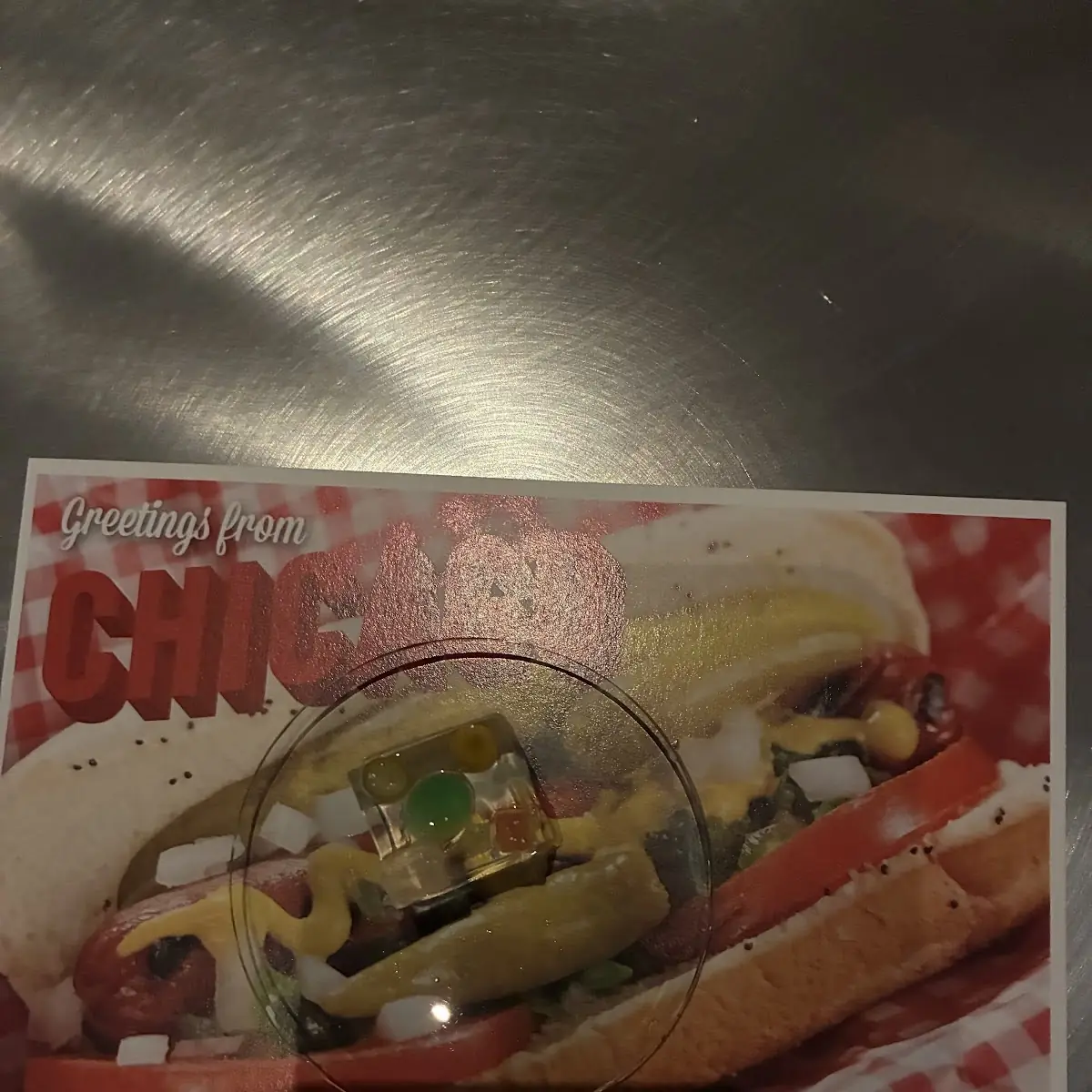 Chicago Hot Dog