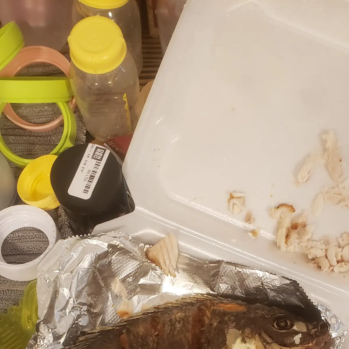 Fried Fish