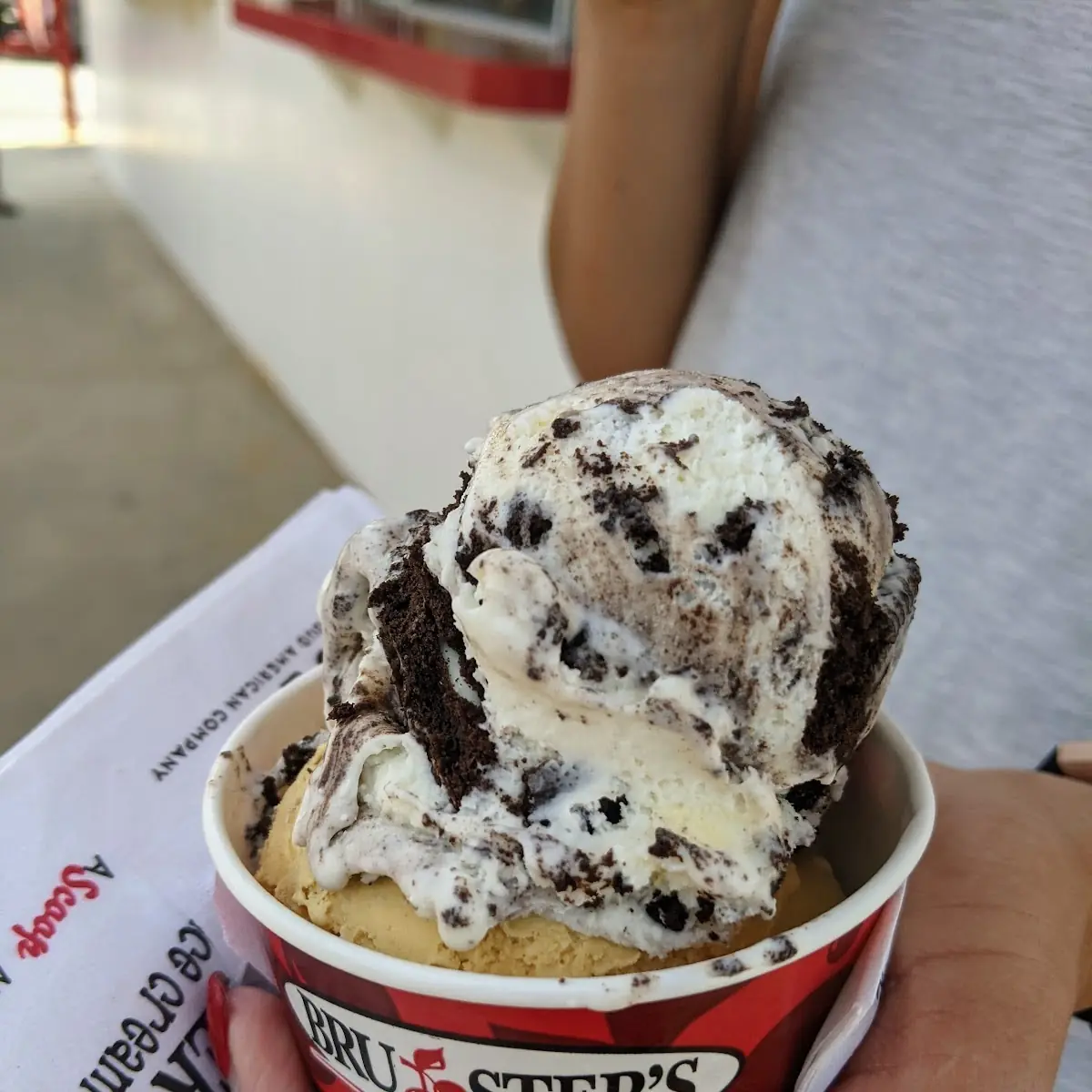 Graham Cracker Ice Cream