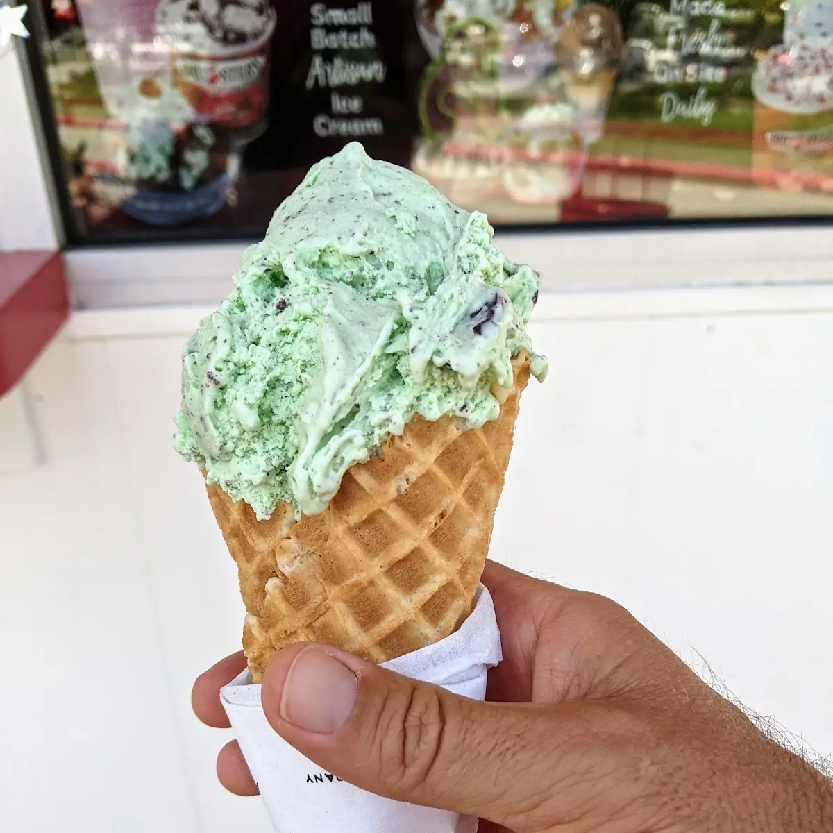 Mint Chocolate Chip