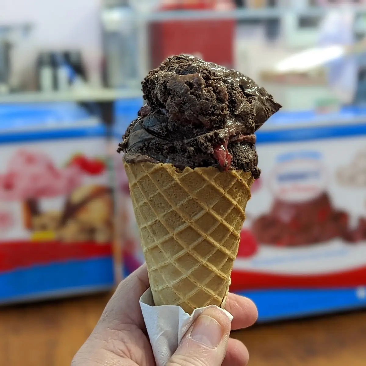 Dark Chocolate Raspberry Ice Cream in a Waffle Cone