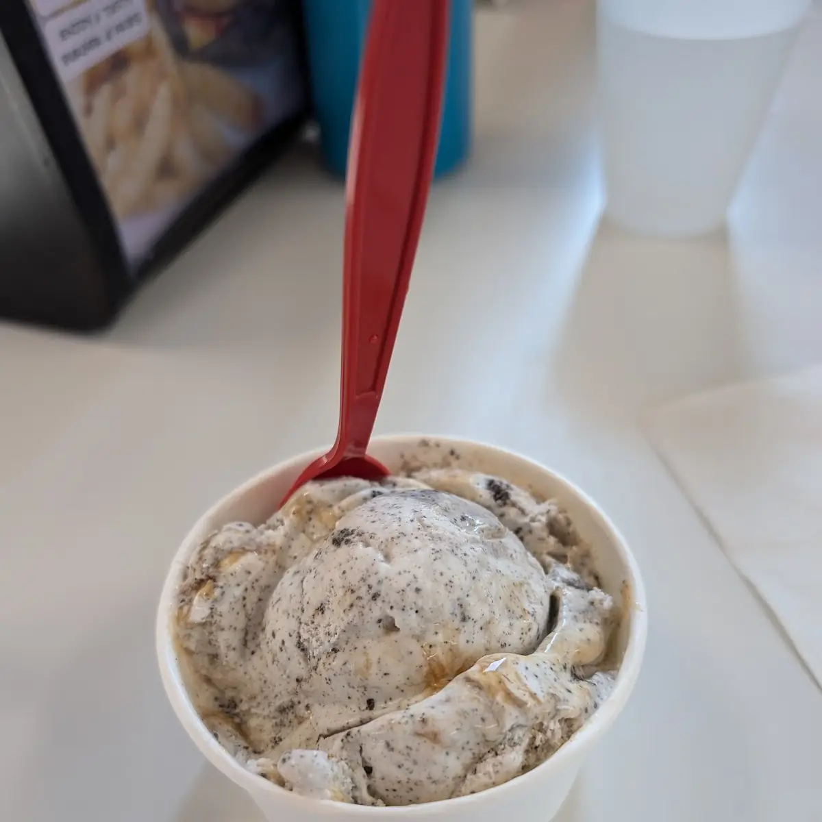 Oatmeal Cookie Ice Cream