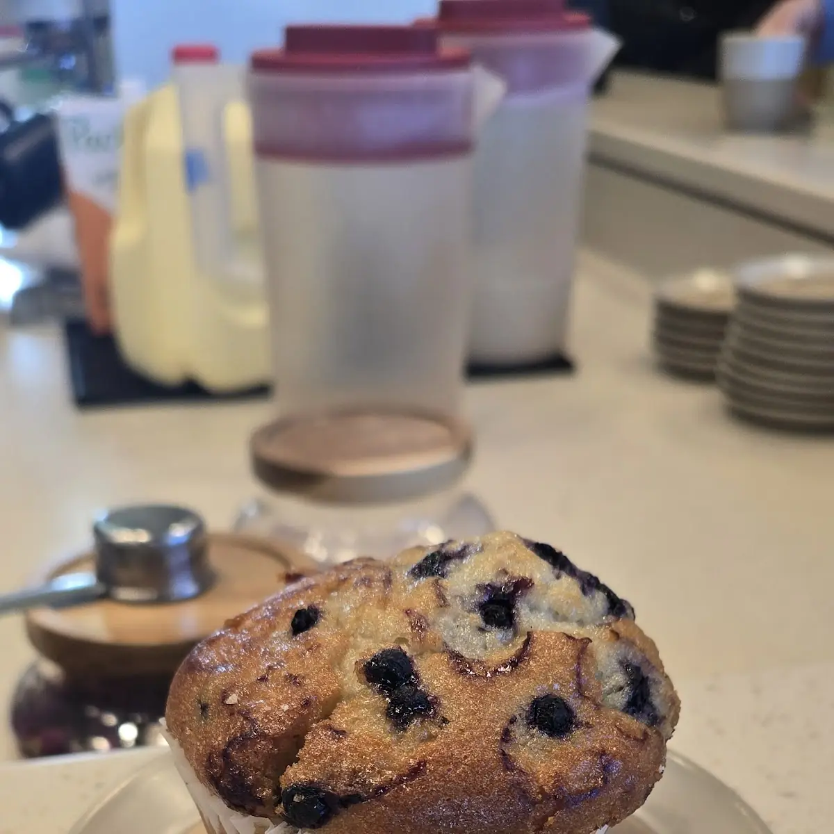 Blueberry Muffin