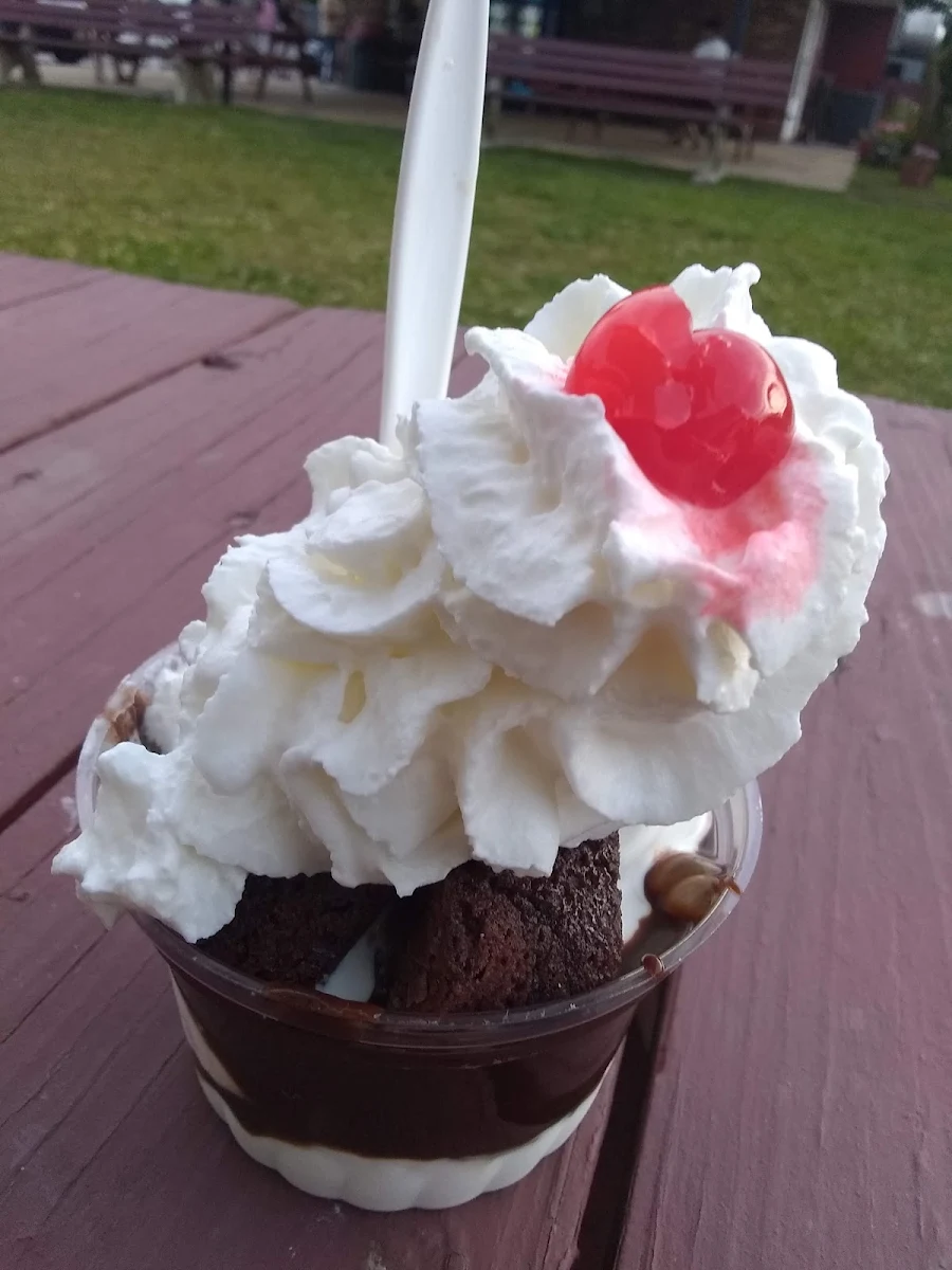 Brownie Hot Fudge Sundae