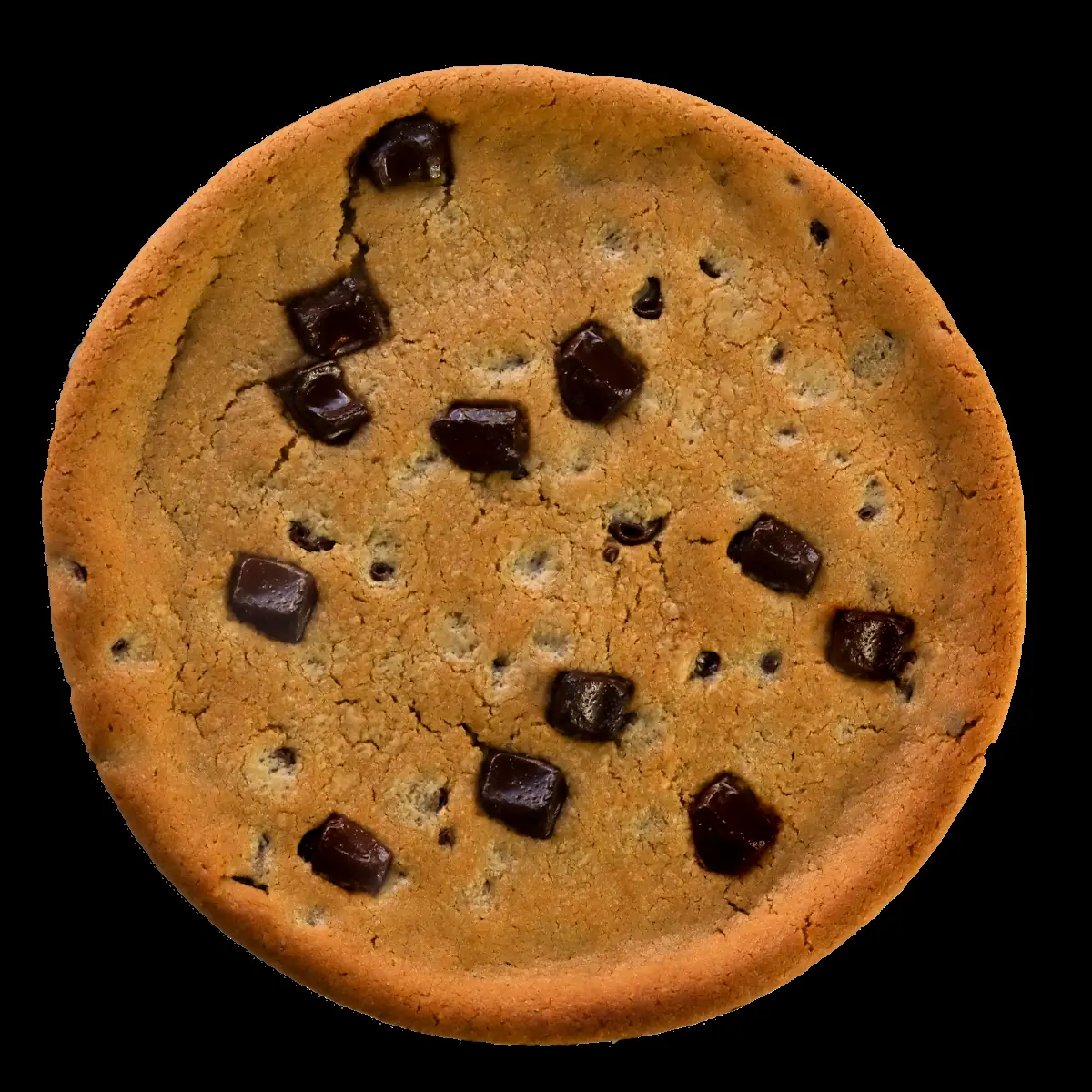 Chocolate Chip Cookie