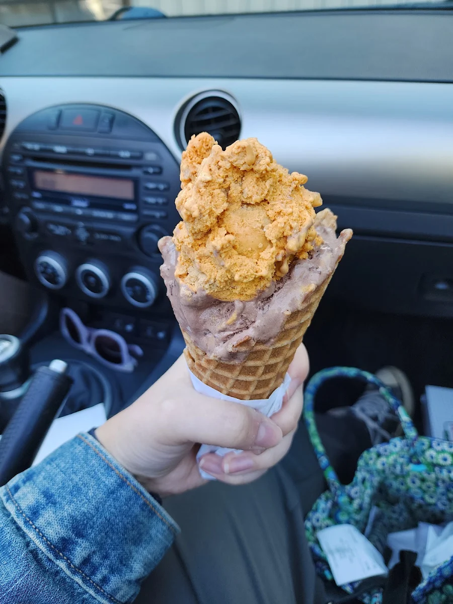 Cinnamon Waffle Cone
