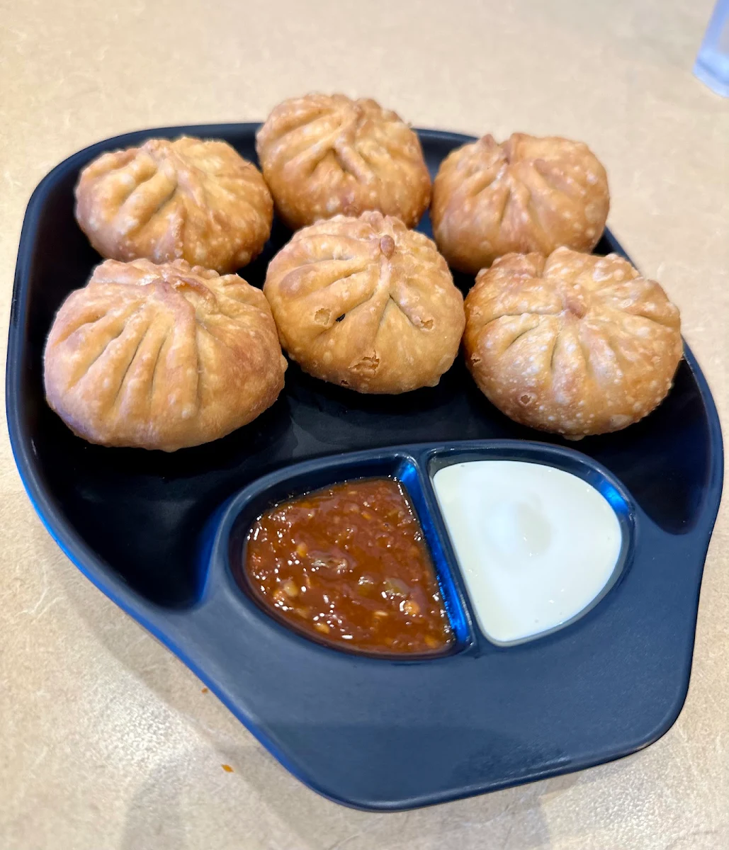 Fried Veggie Momos, Bombay Zone Street Food and Sweets Whitby (Pure Vegetarian)