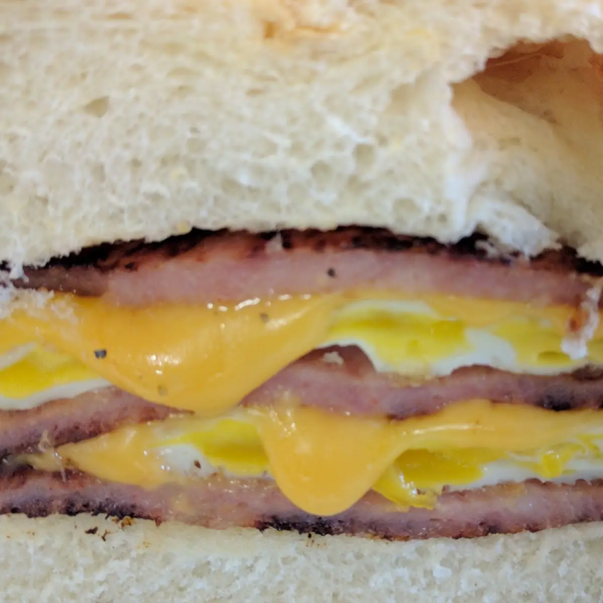 Pork Roll Egg Cheese