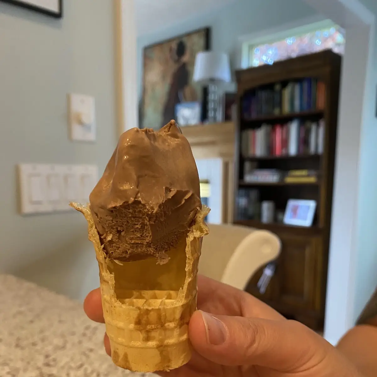 Chocolate Ice Cream