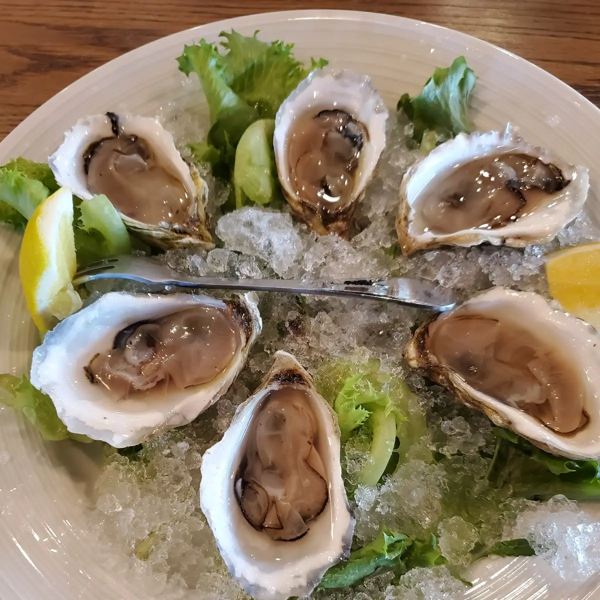 Oysters on the Half Shell