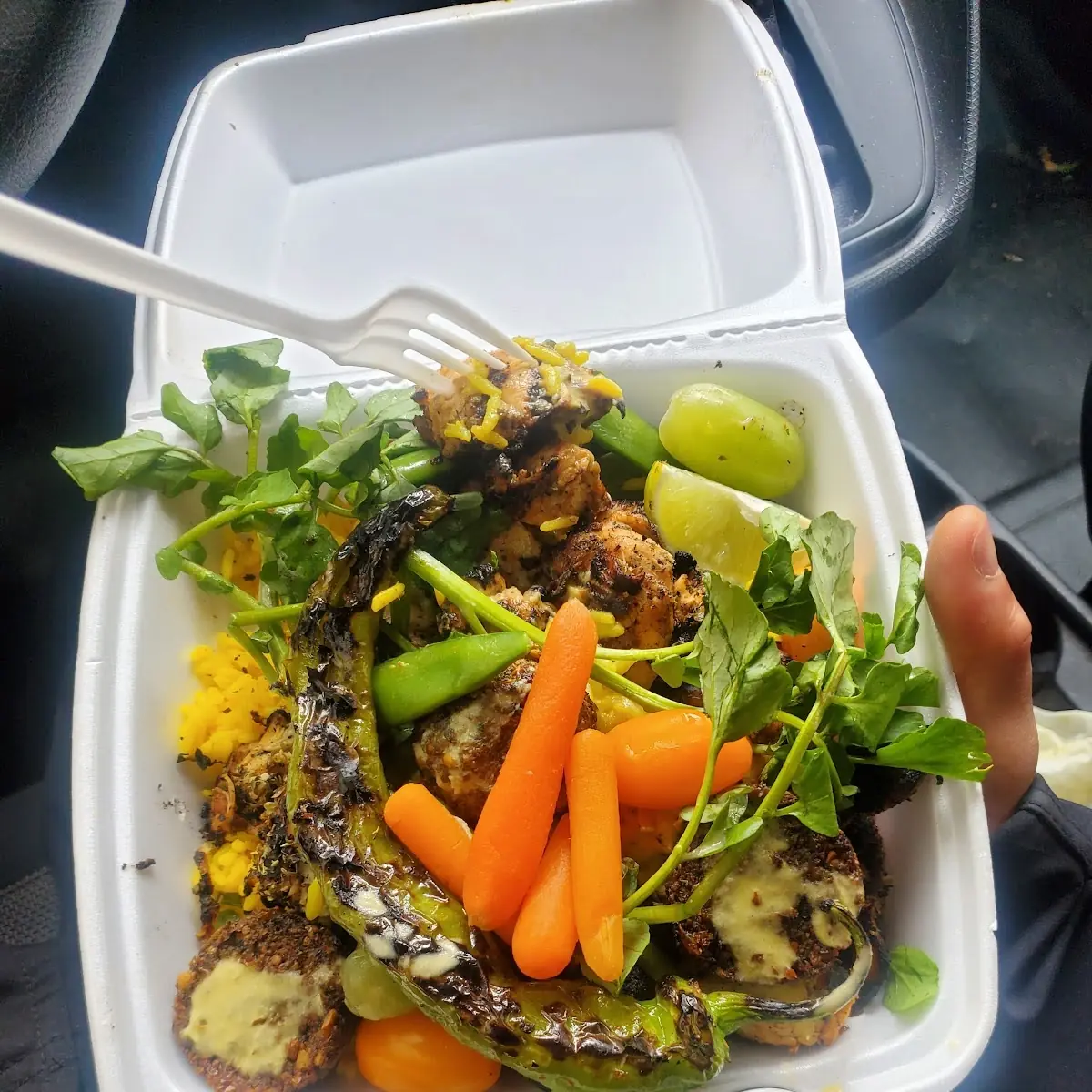 Grilled Chicken and Falafel Platter