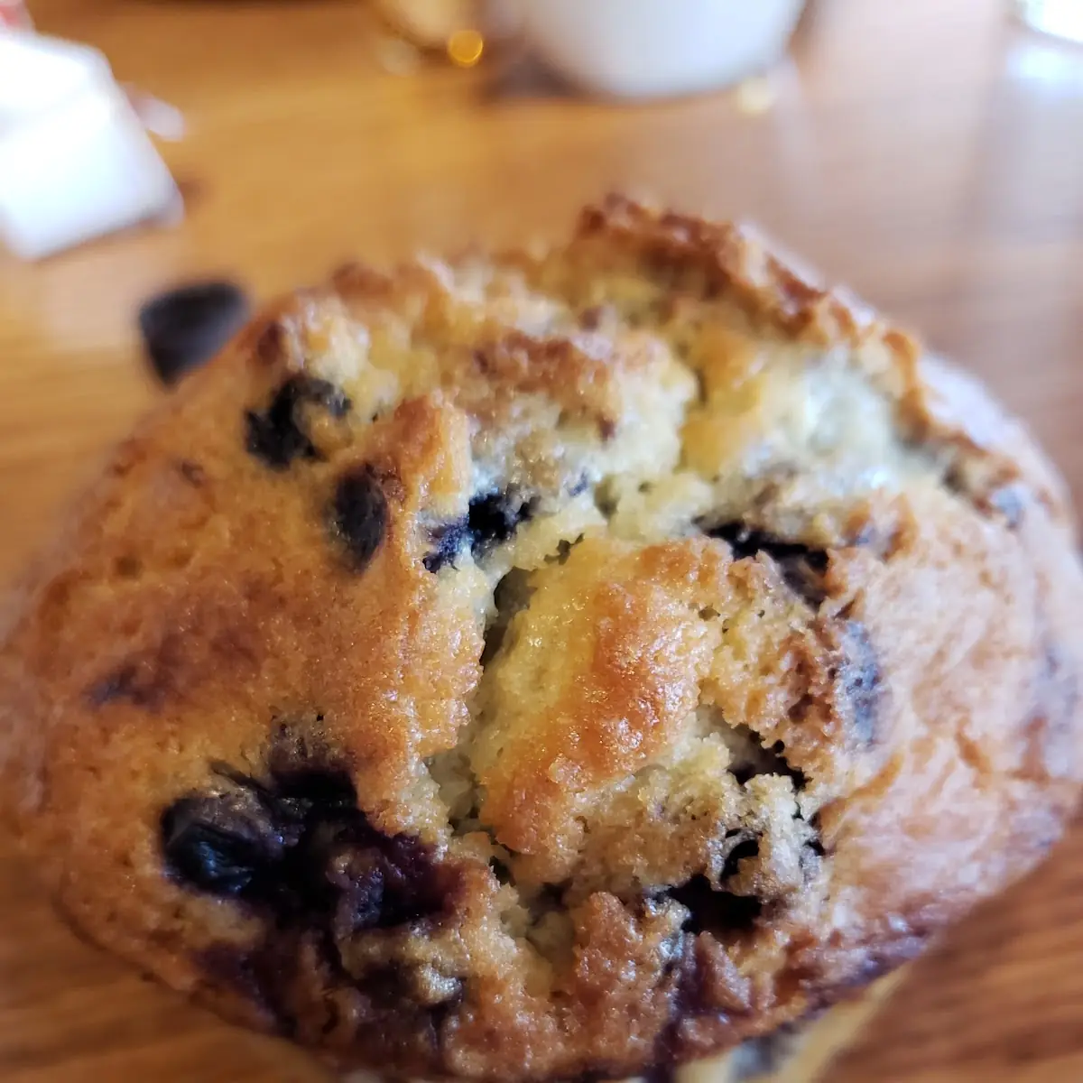 Blueberry Muffin