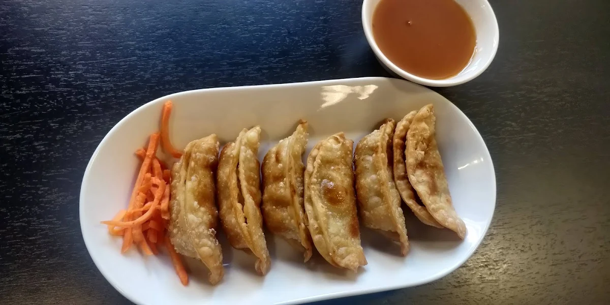 Pork Dumplings