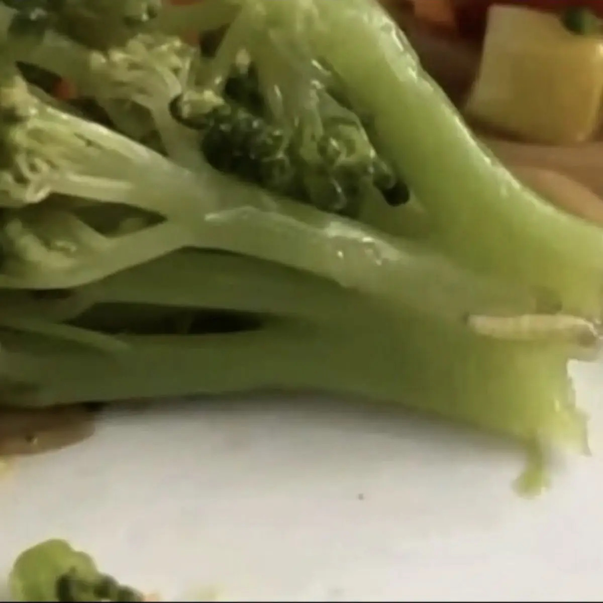 Steamed Mixed Vegetables