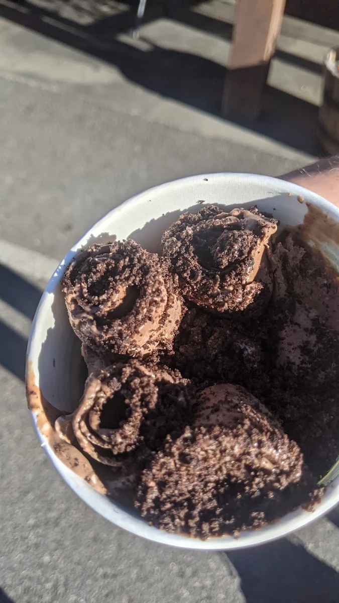 Chocolate Ice Cream