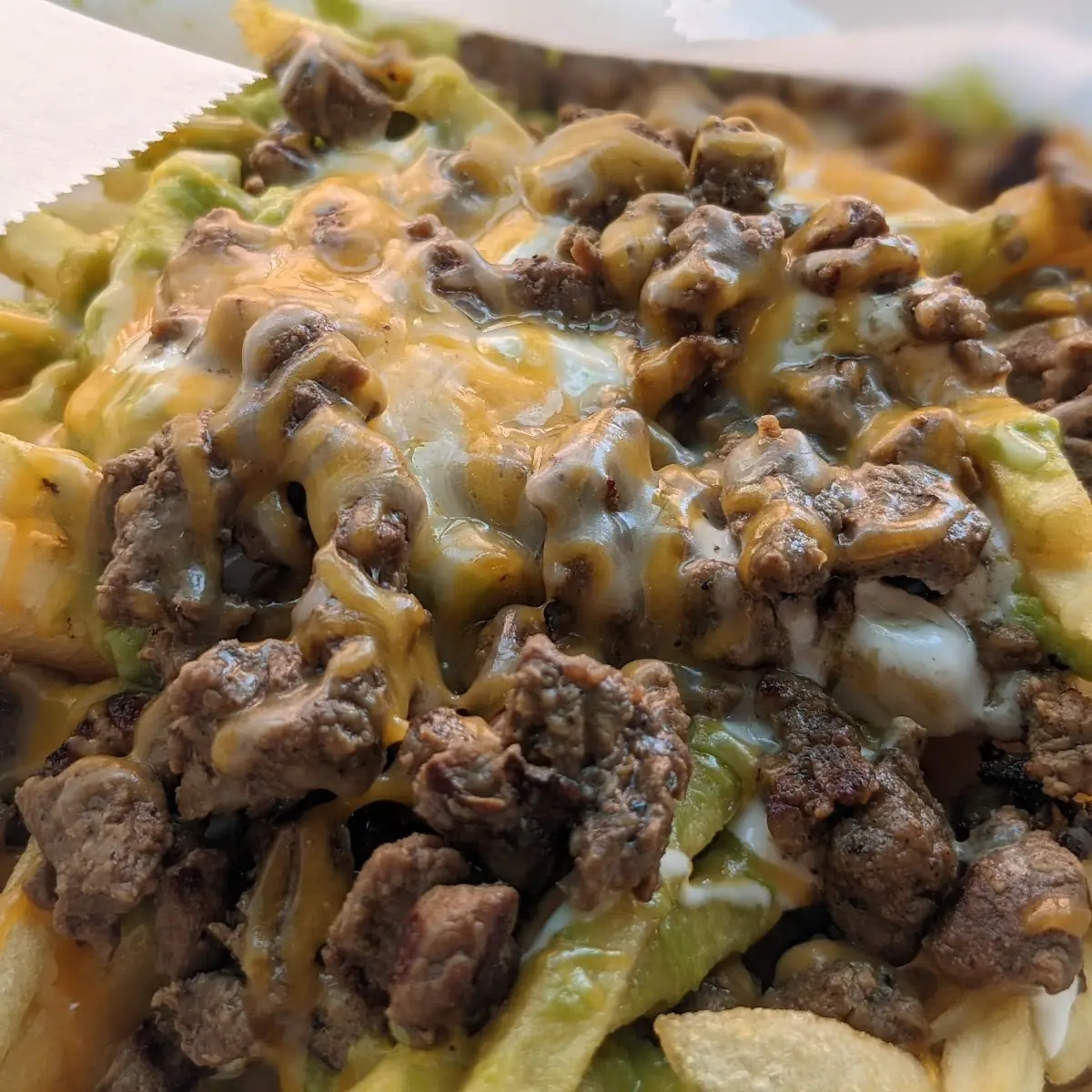 Carne Asada Fries