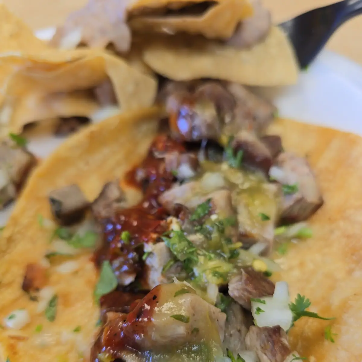 One Shredded Beef Burrito