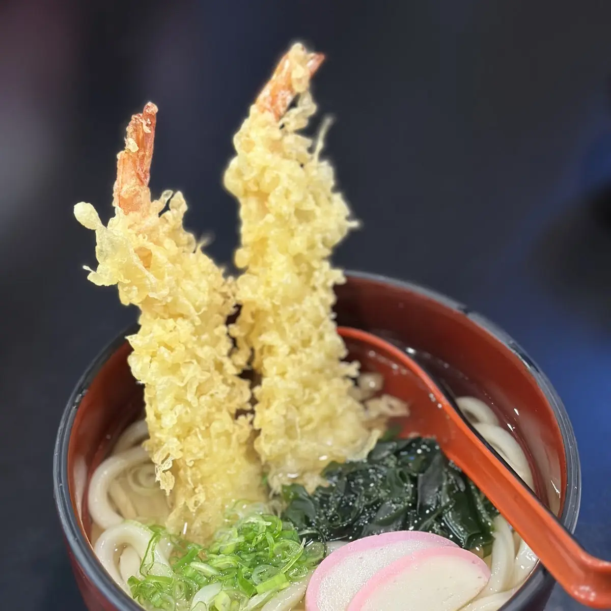 EBI Tempura Udon