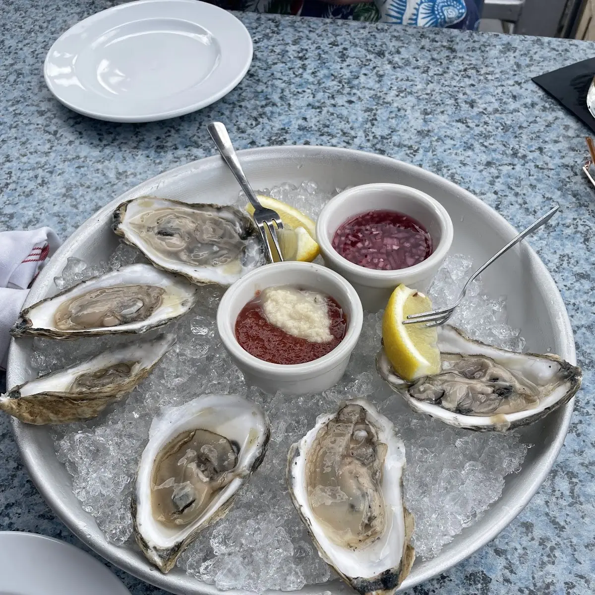 Damariscotta Oysters on the Half Shell