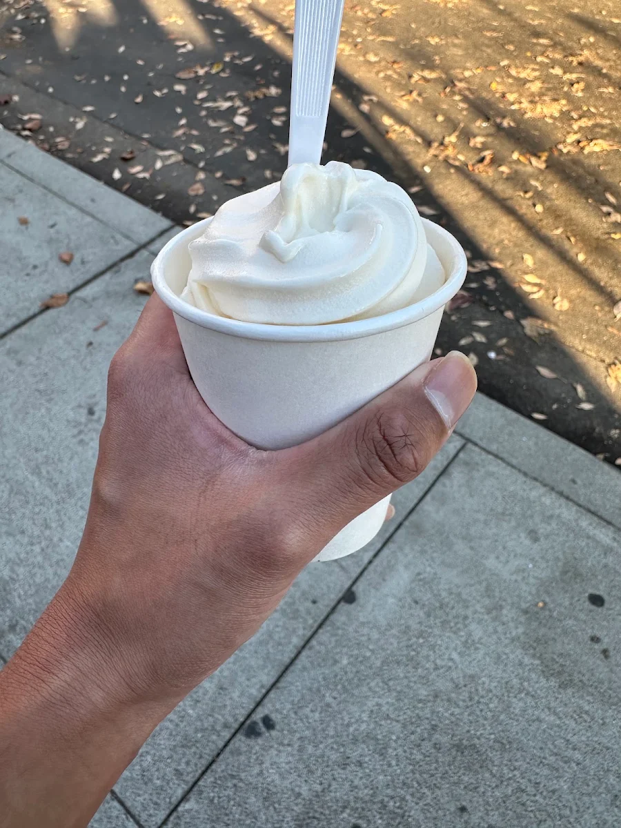 Peppermint Soft Serve Ice Cream