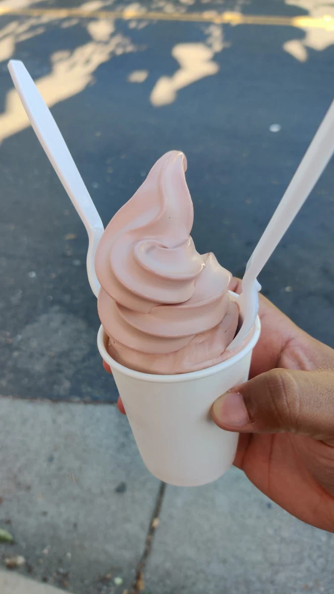 Strawberry Chocolate Ice Cream