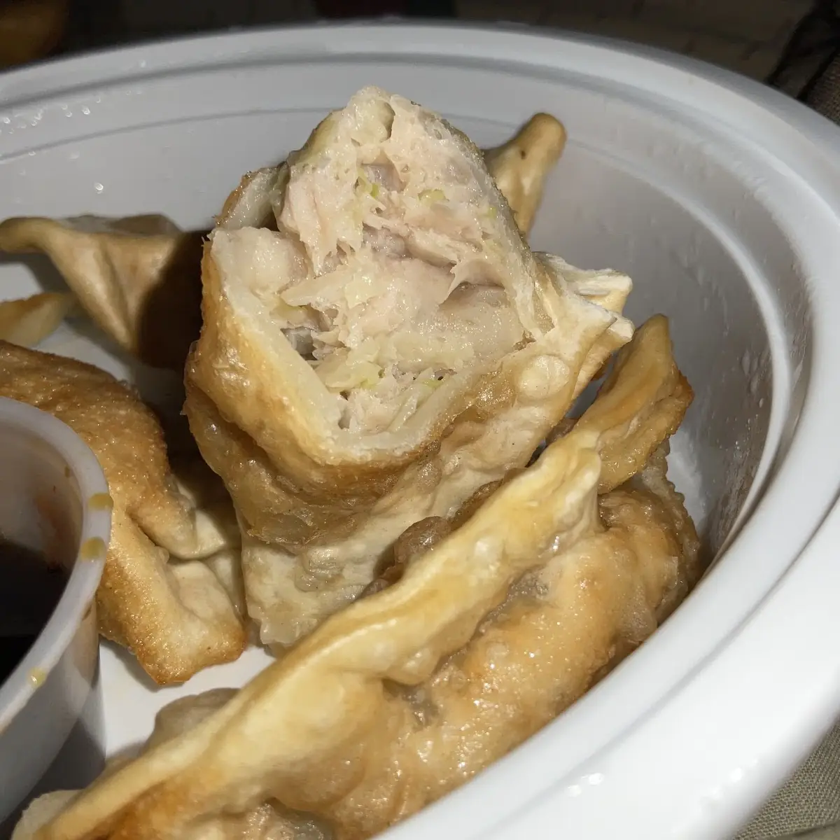 Inside Pork Dumplings