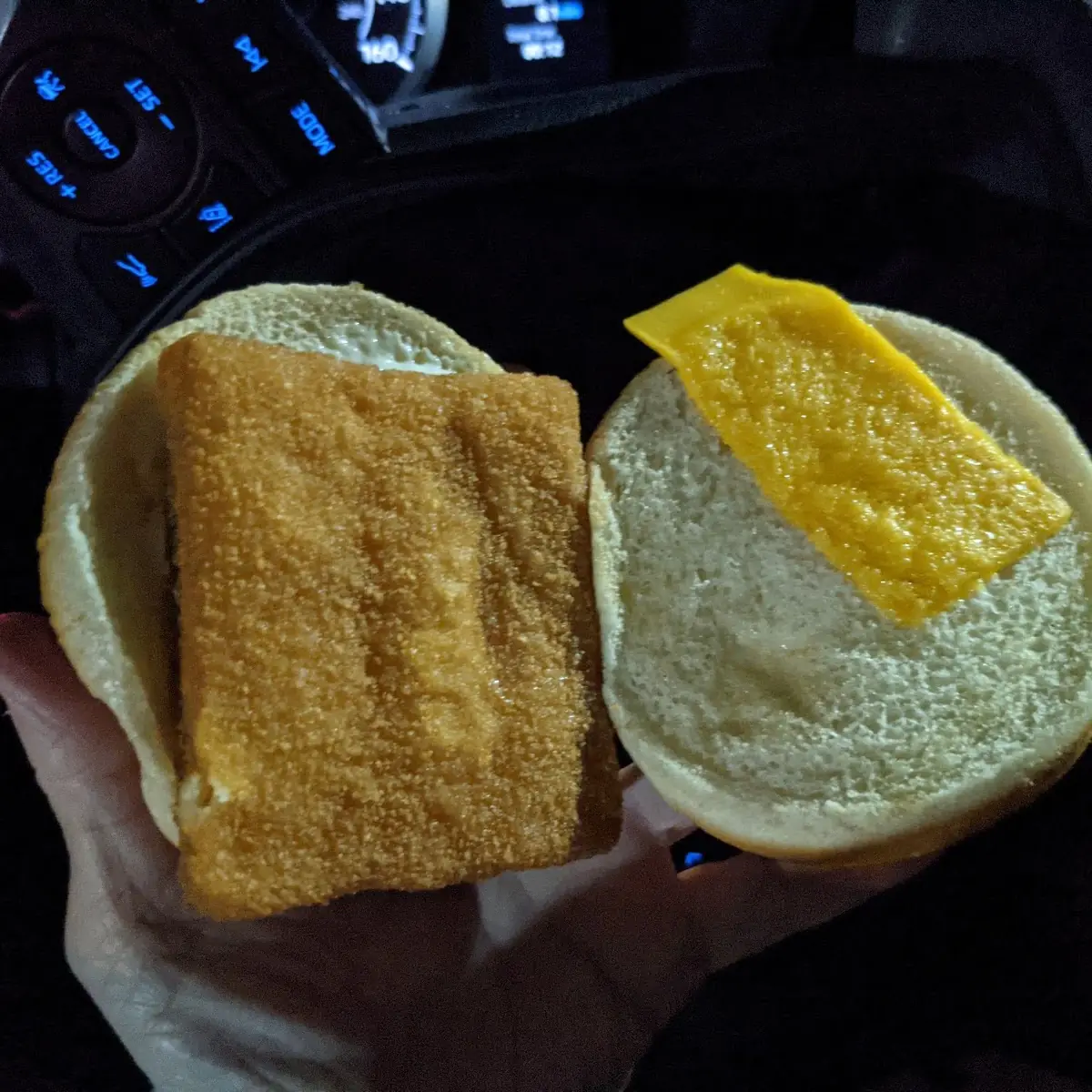 Fish Sandwich with not Much Cheese