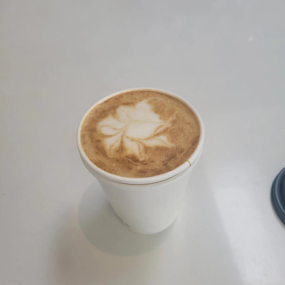 Cortado Soy Milk