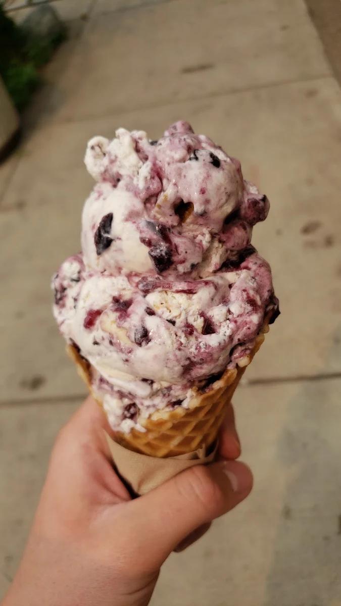 Blueberry Cheesecake