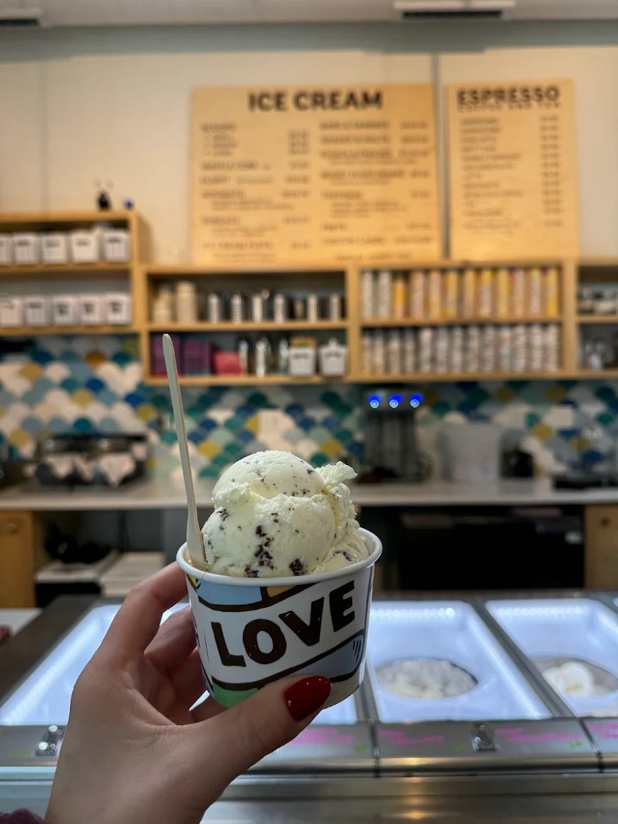 Mint Chocolate Chip