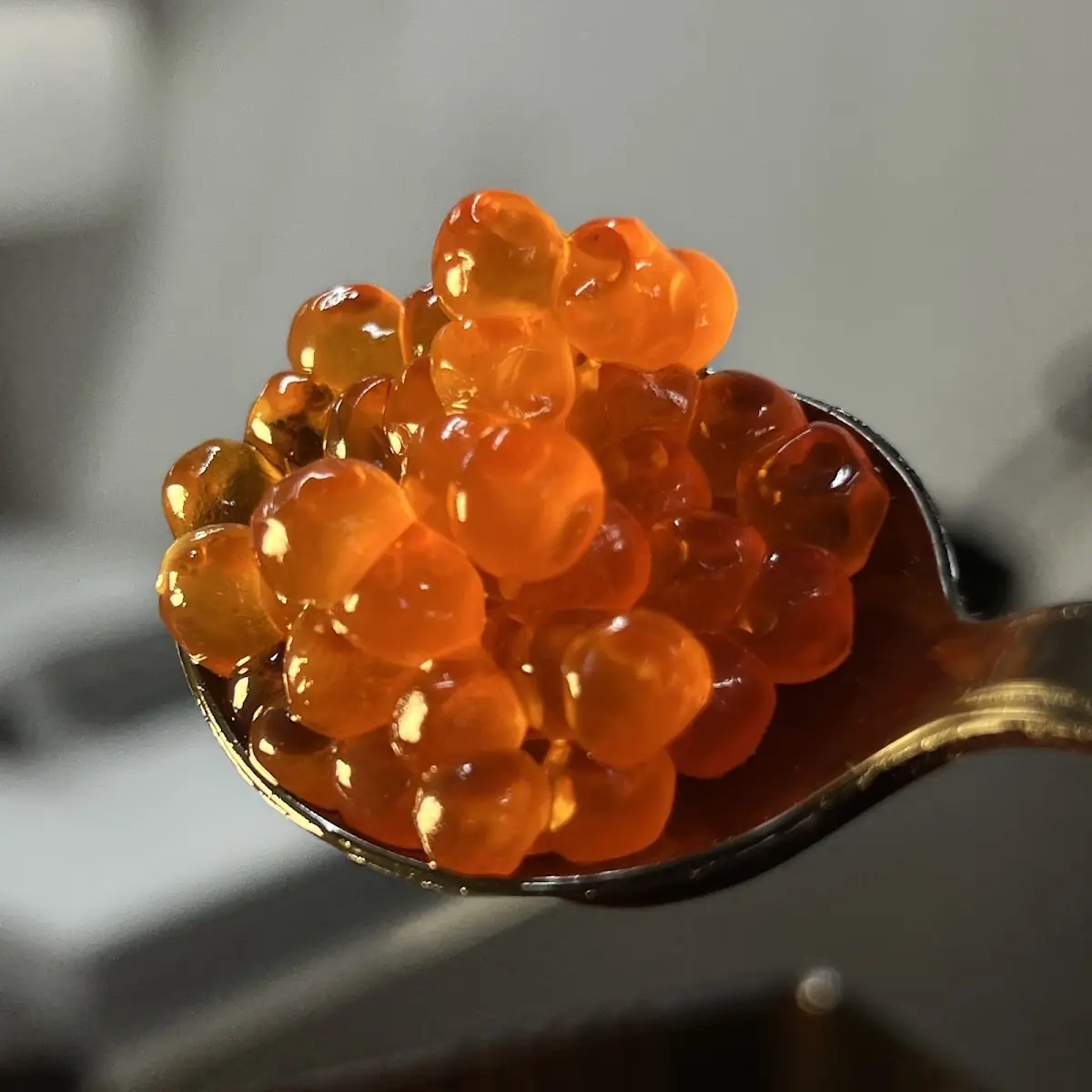 Ikura Salmon Roe