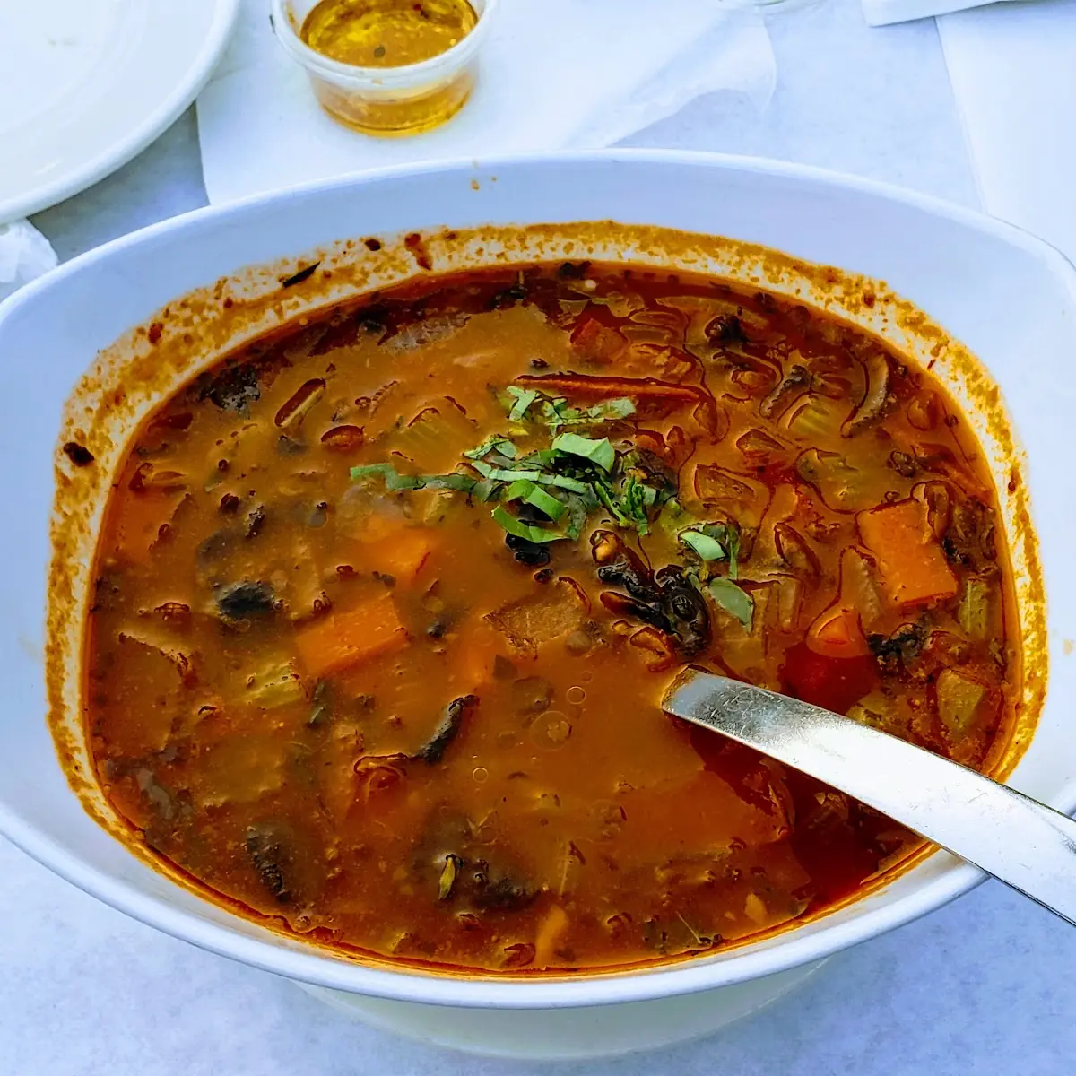 Vegetable Soup
